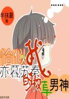 恰似亦暮苏秦：我的校草男神