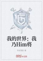 我的世界：我乃Him将