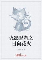 火影忍者之日向花火