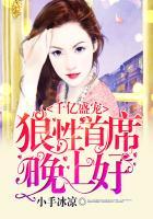 千亿盛宠：狼性首席，晚上好