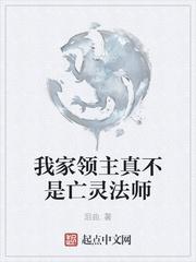 我家领主真不是亡灵法师